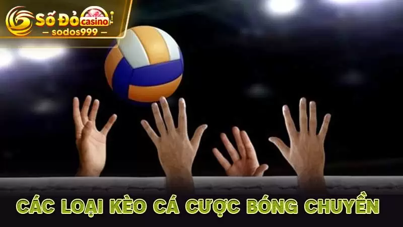 Các loại kèo cá cược Bóng chuyền