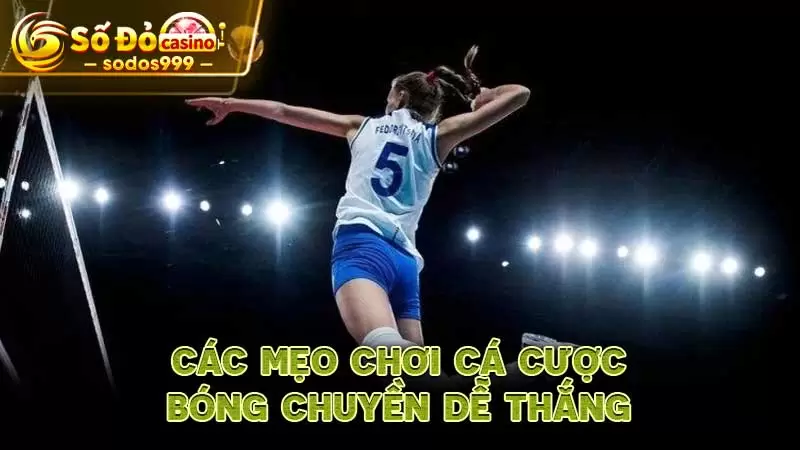 Các mẹo chơi cá cược bóng chuyền dễ thắng