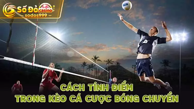 Cách tính điểm trong kèo cá cược Bóng Chuyền