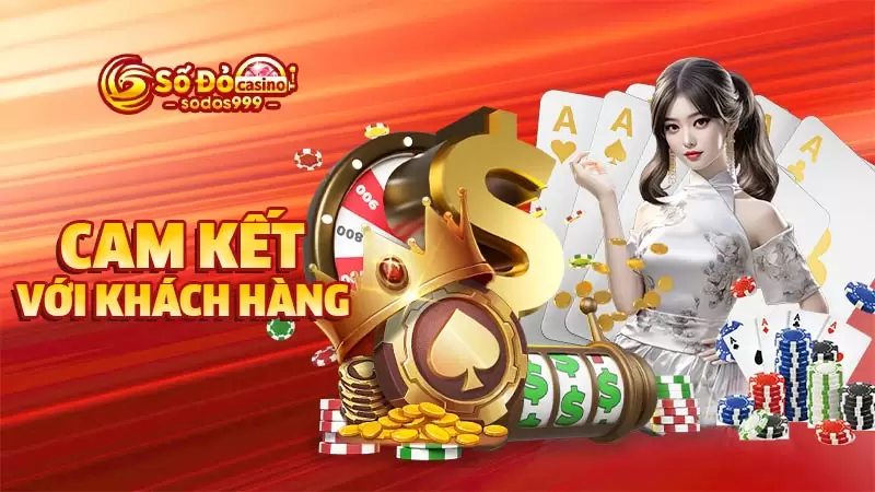 Cam kết với khách hàng