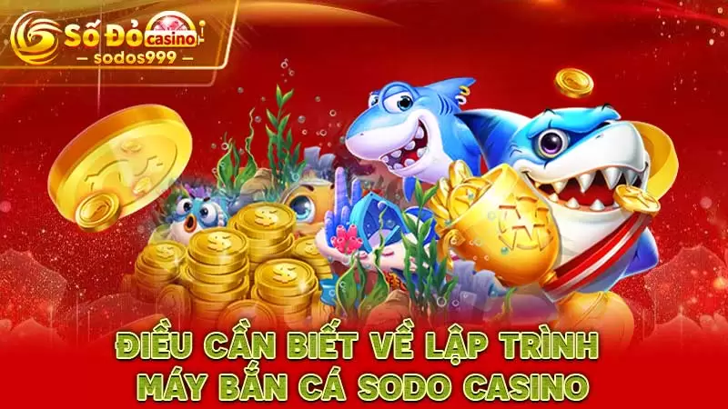 Điều cần biết về lập trình máy bắn cá SODO