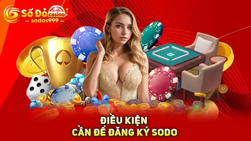 Điều kiện cần để đăng ký SODO