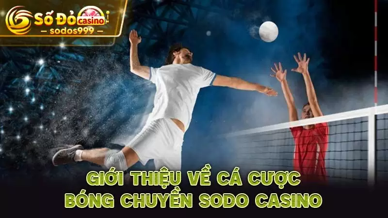 Giới thiệu về cá cược bóng chuyền SODO CASINO