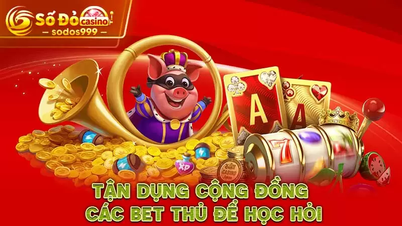Tận dụng cộng đồng các bet thủ để học hỏi