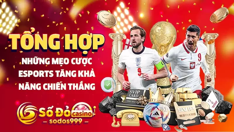 Tổng hợp những mẹo cược Esports tăng khả năng chiến thắng
